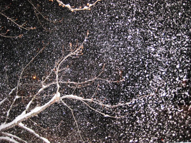 Minneapolis snow 2010