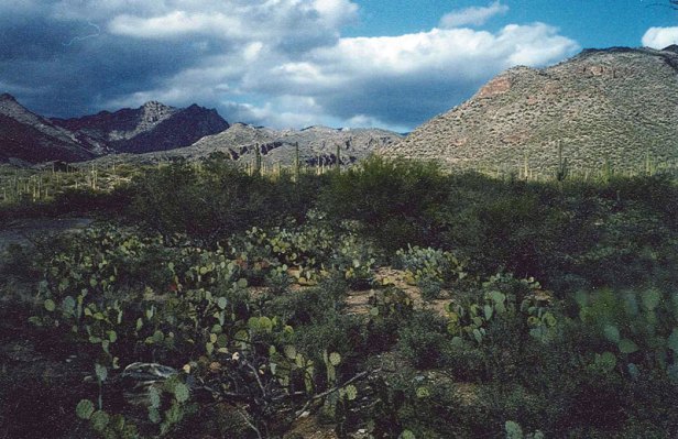 A nice view of an Arizona desert.
