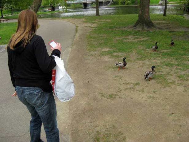 Lauren being chased by ducks at Boston Gardens