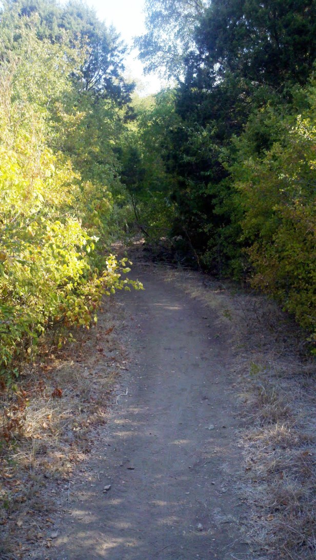Walking through the trail in Balcones Woods