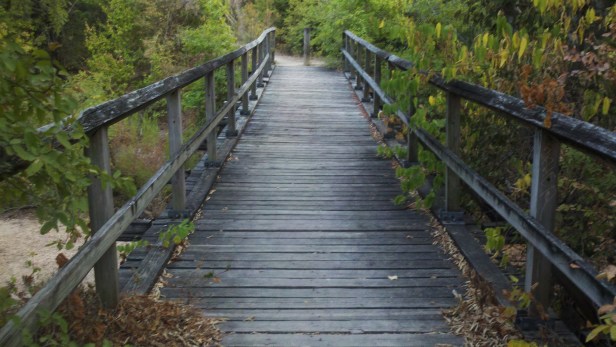 Picturesque walking bridge on hiking trail