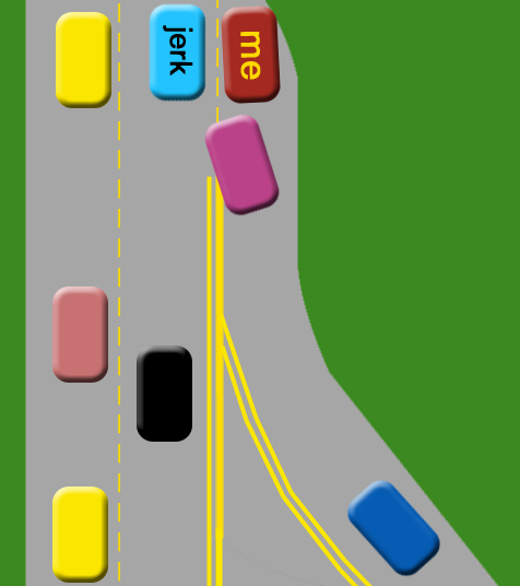Fig. 2 - Idiot Drivers