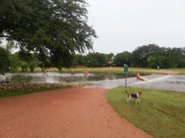 Rattan Creek Park, Austin, Texas