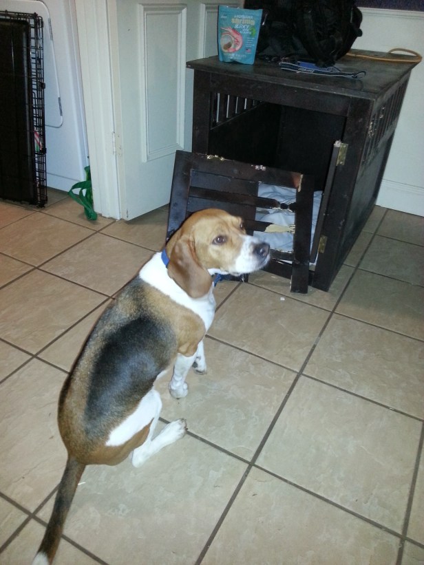 Baxter knew he had done wrong, but dammit he couldn't take another minute of confinement!