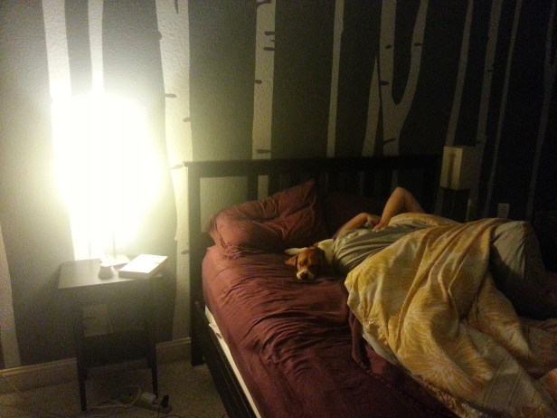 7:30am - Hound and wife are still in a deep slumber despite Lauren's iPhone alarm having gone off at least a dozen times.