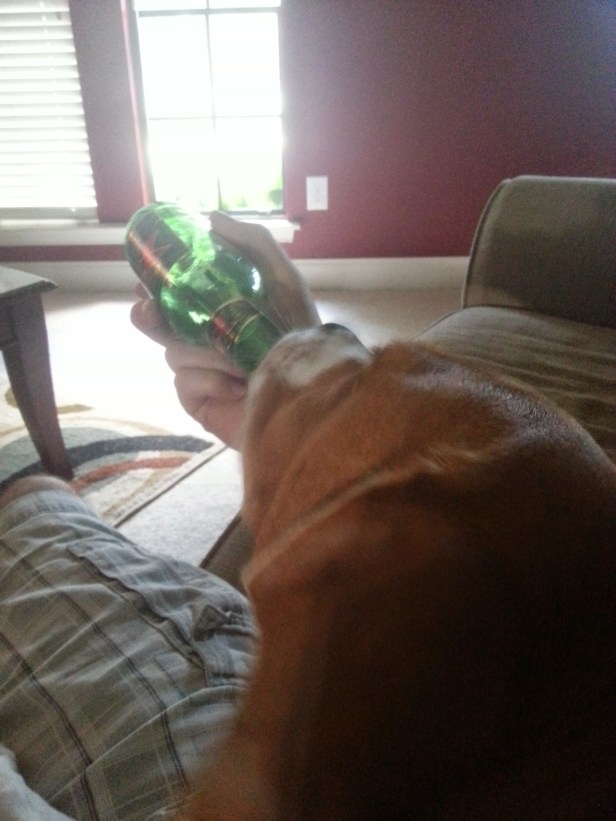 6:23pm - Okay, I'll let the hound slurp a few drops out of an empty beer bottle while I watch Seinfeld.