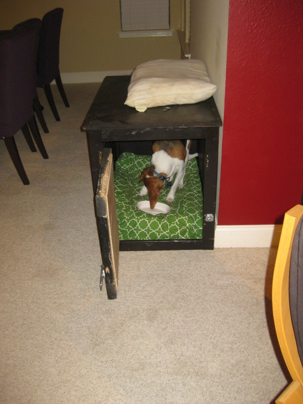 8:40pm - Well I'll be damned... Lauren put Baxter's dog food in his crate and he just went right in and ate it. It's big progress!