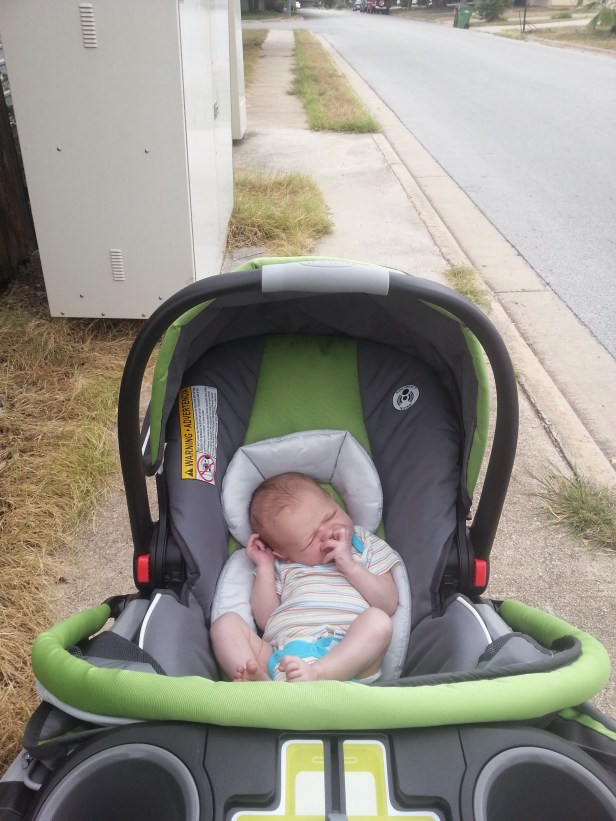 Johnny sure does quiet down the second we go outdoors. Here he is soaking up the sun on a walk to the community mailbox and back.