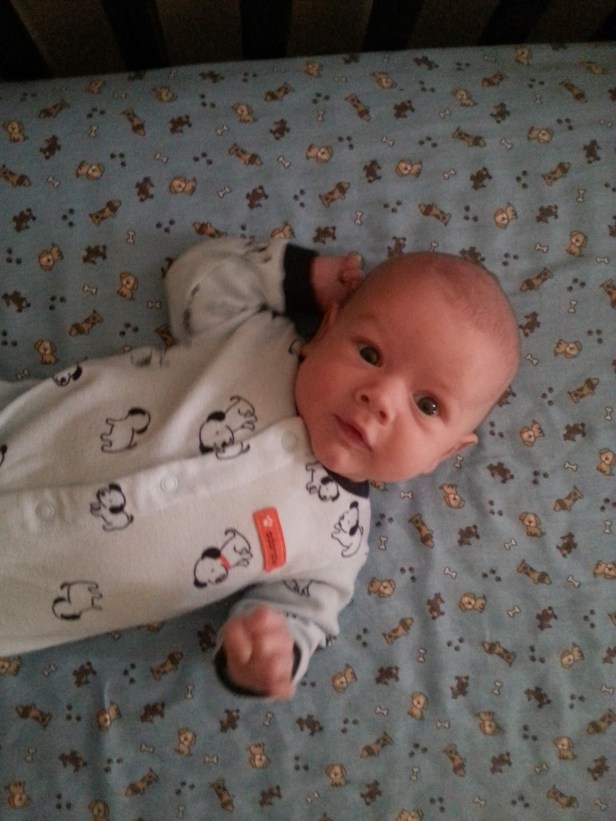 Oh, why hello, I'm a tiny baby and I didn't see you there at first but now I do!