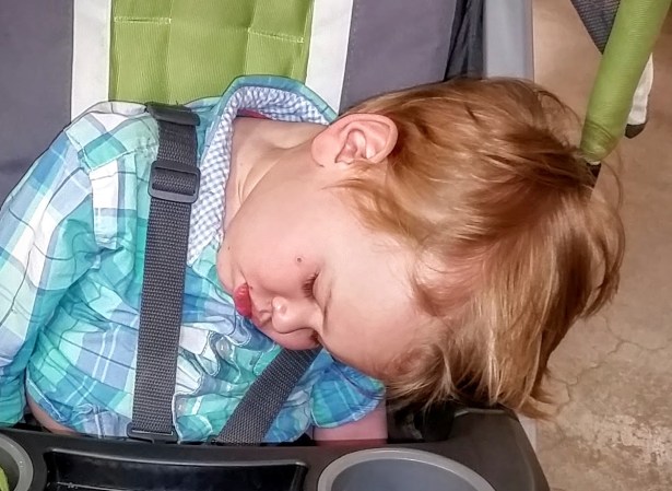 All tuckered out after a trip to HEB for another cough medicine run.