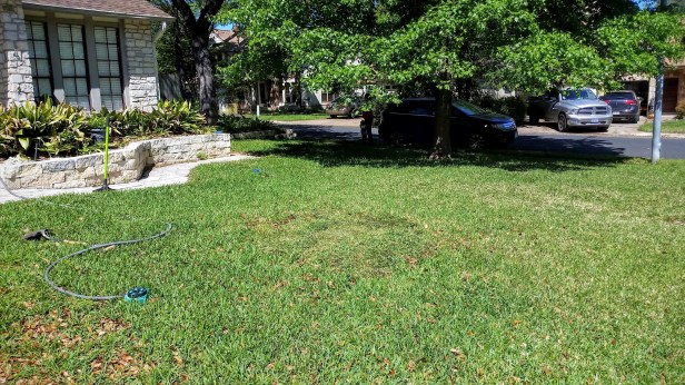 Here's what it looks like after I covered the hole with the sod. We saturated it with water and packed it down.