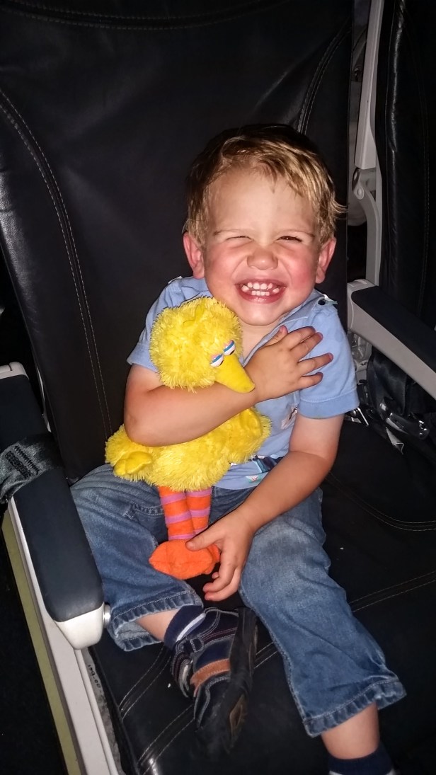 FUN times on the plane with Big Bird!