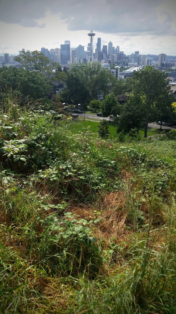 Seattle from Kerry Park.