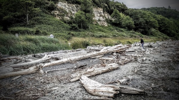 The beach we hiked to... not the greatest reward at the end of a long hike.