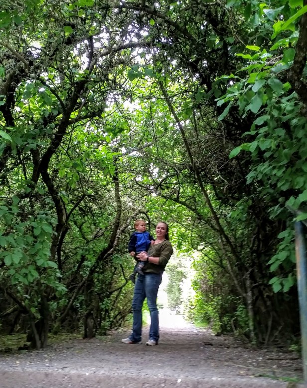 Momma and Johnny emerge from the dense woods.