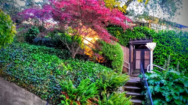 An enhanced image of our rental property. Couldn't have asked for anything more picturesque.