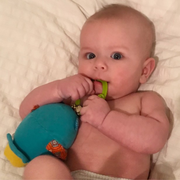 2629a192-606f-4b09-bd01-b3f63deb4728